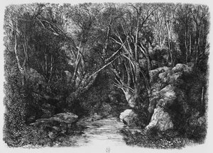 Il ruscello tra gli alberi, 1880 da Rodolphe Bresdin